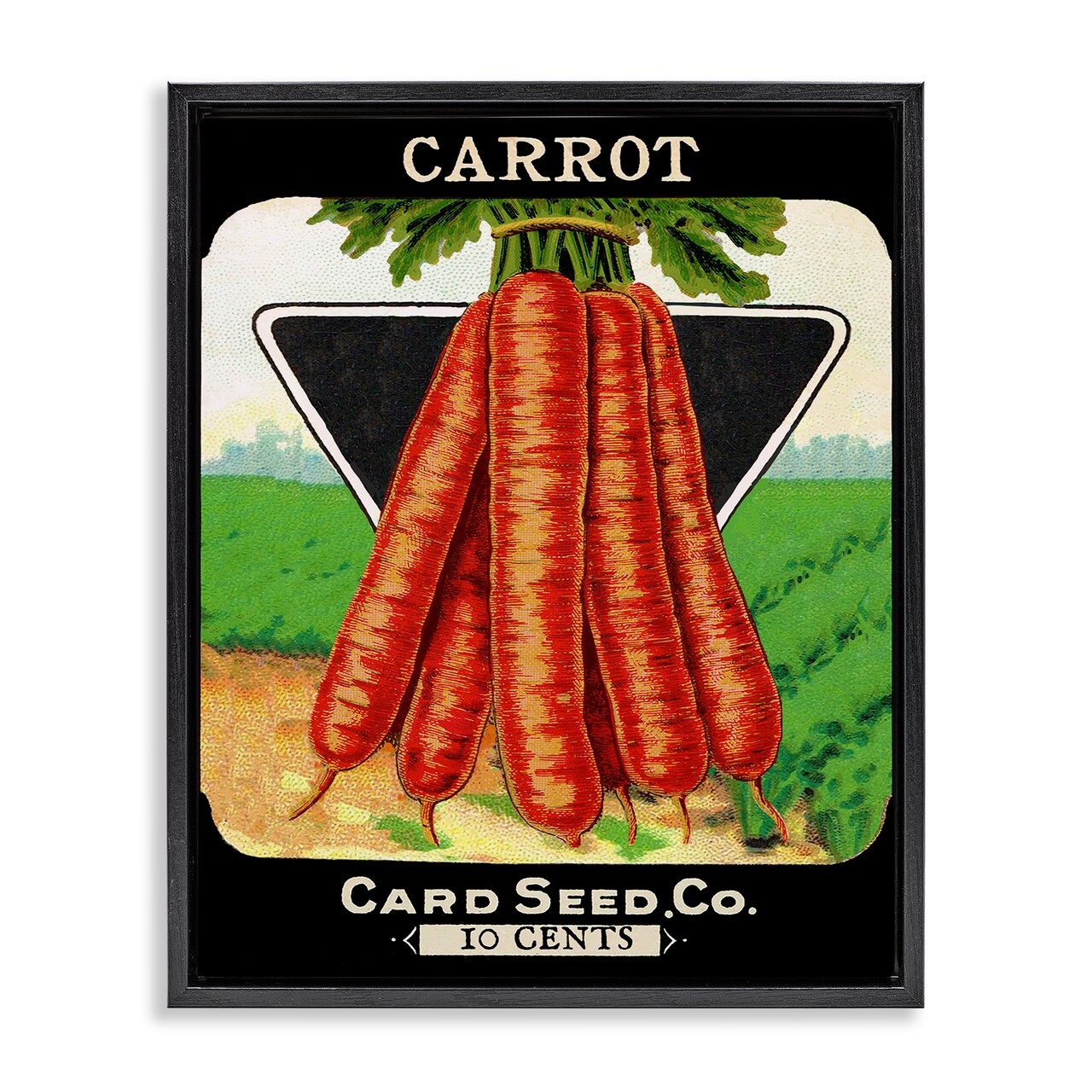 Stupell Industries Vintage Gardening Carrots Floating Frame By Lil' Rue